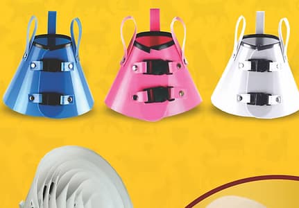 Colares Elizabetano R&M