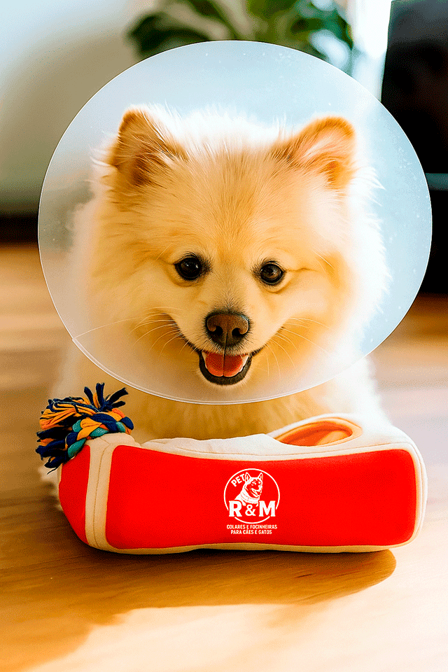 História da R&M Colares e Focinheiras